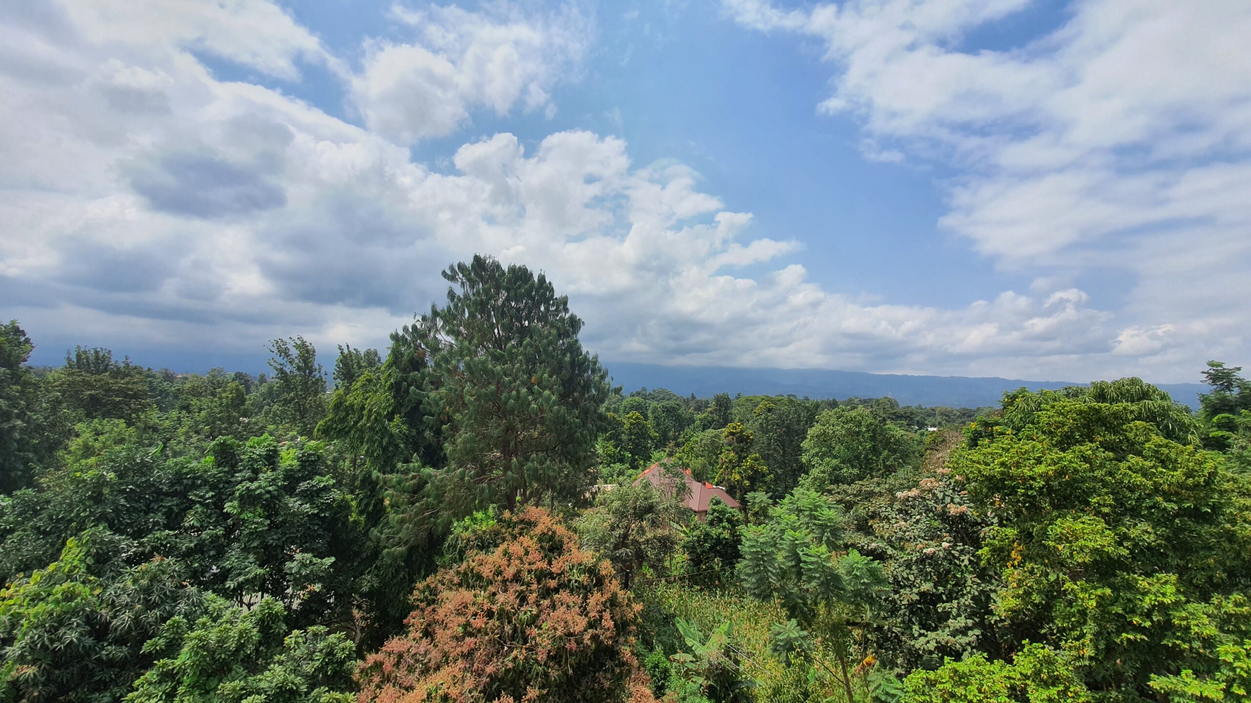 Arusha city streets and architecture