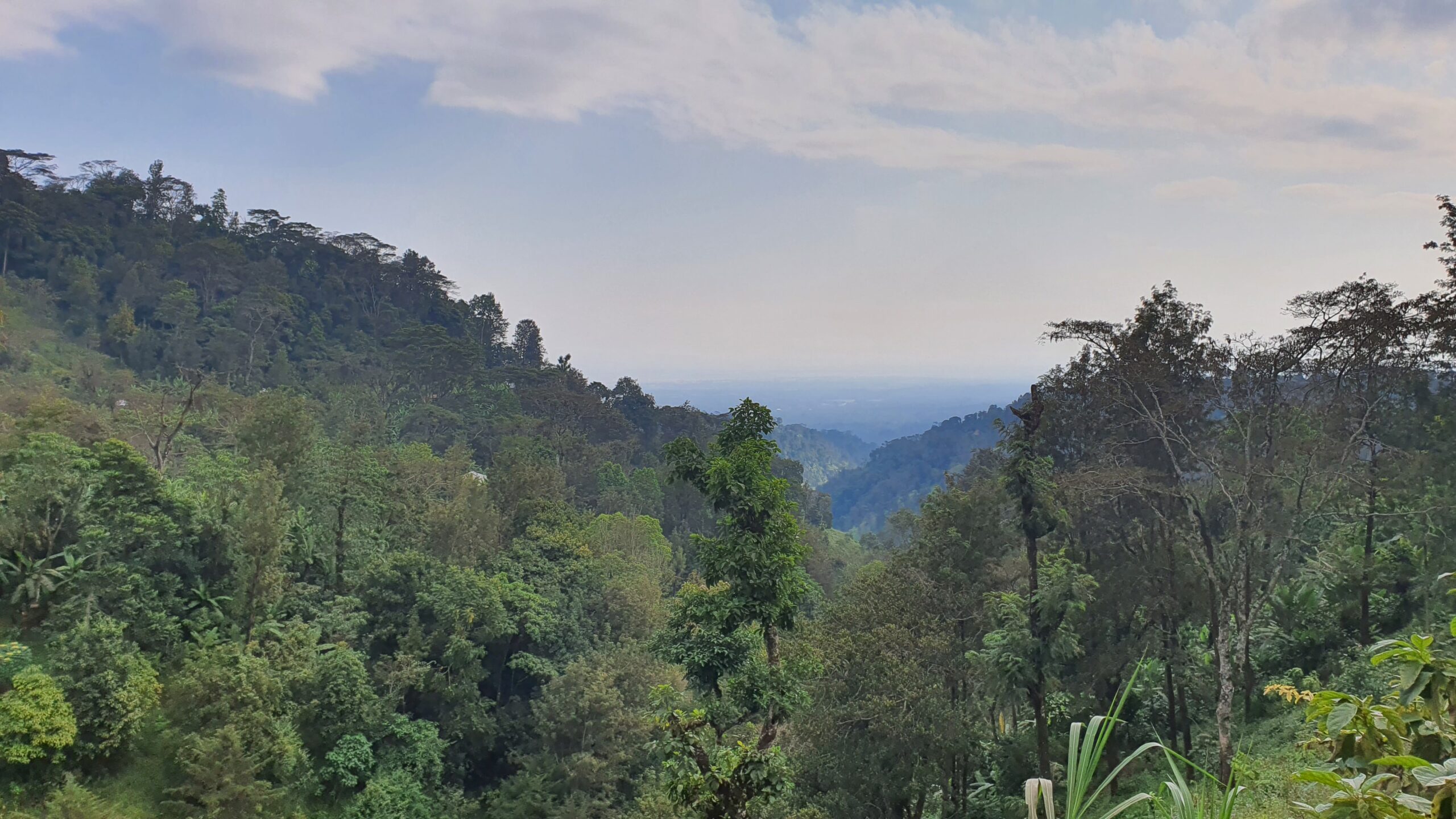 Arusha city streets and architecture
