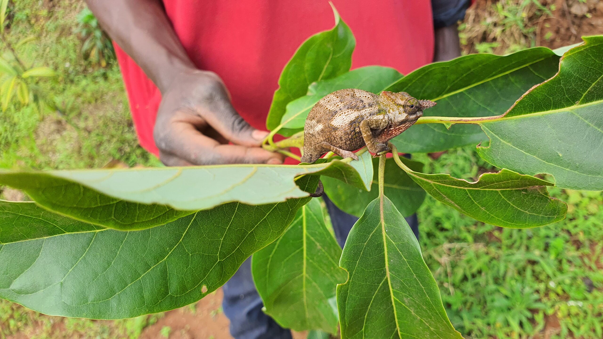 Arusha city streets and architecture
